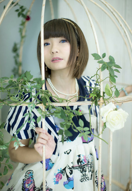 Ayame_apricot photo 317