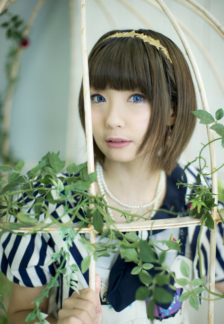 Ayame_apricot photo 318