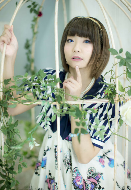 Ayame_apricot photo 319