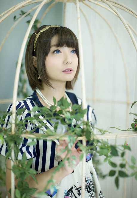 Ayame_apricot photo 321