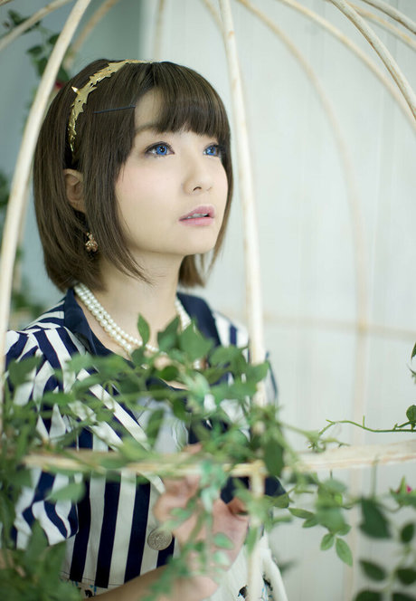 Ayame_apricot photo 322