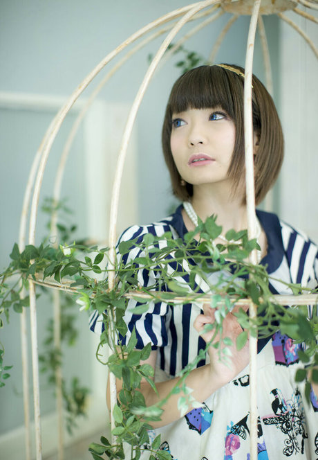 Ayame_apricot photo 323