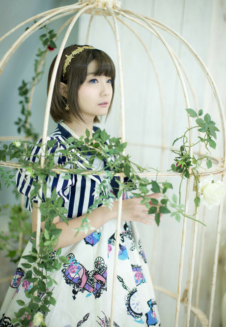 Ayame_apricot photo 324
