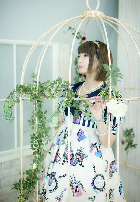 Ayame_apricot photo 328