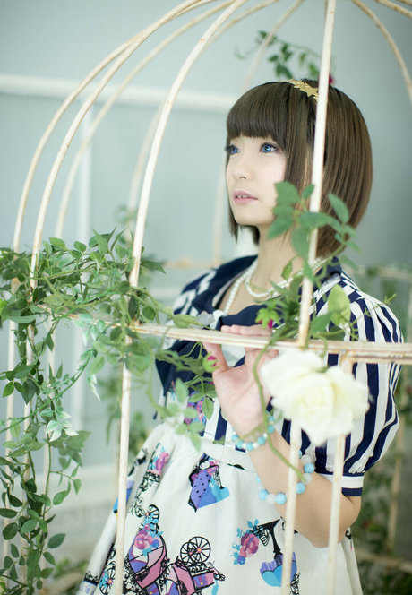 Ayame_apricot photo 329