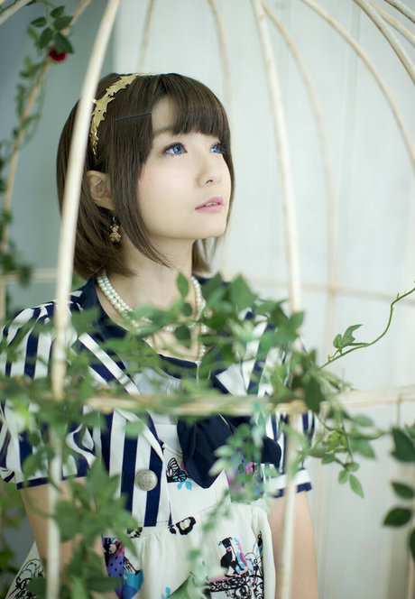 Ayame_apricot photo 330