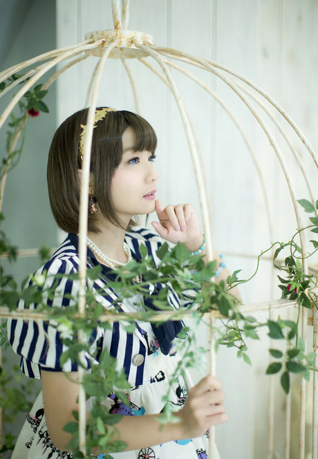 Ayame_apricot photo 331