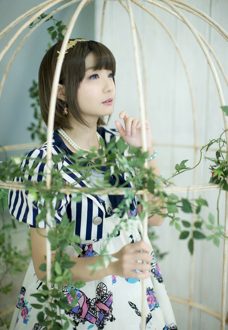Ayame_apricot photo 332