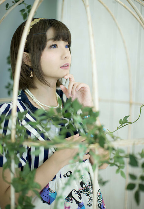 Ayame_apricot photo 333