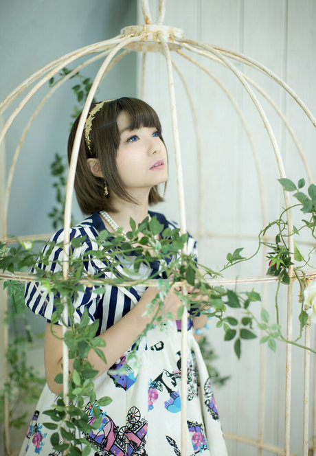 Ayame_apricot photo 334