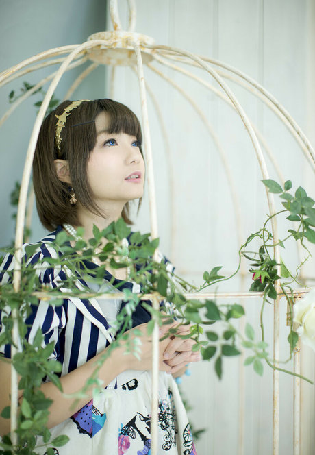 Ayame_apricot photo 335