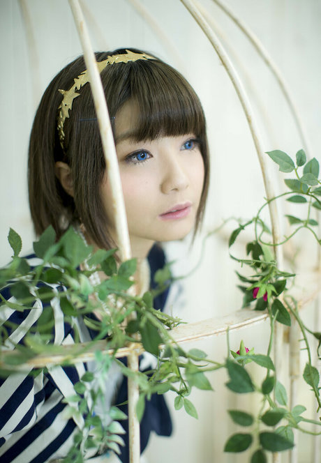 Ayame_apricot photo 336