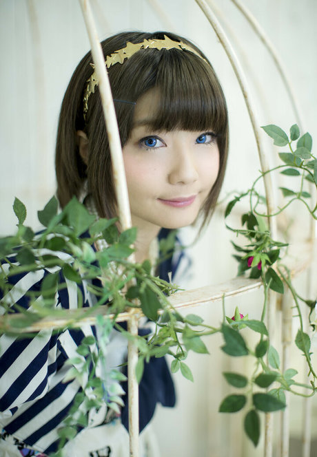 Ayame_apricot photo 337