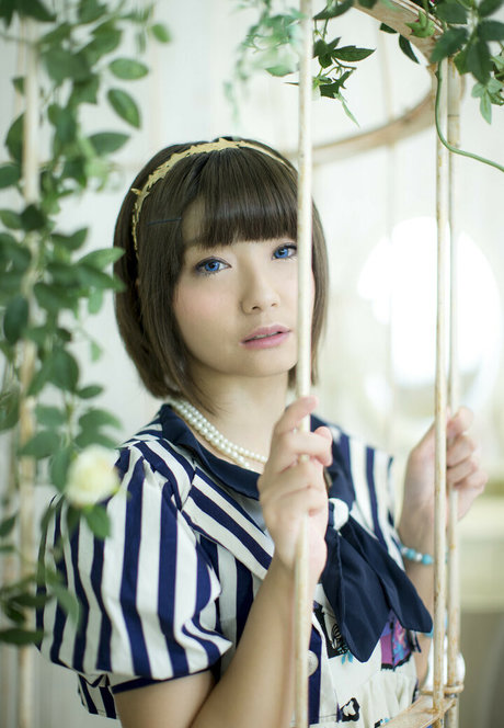 Ayame_apricot photo 338