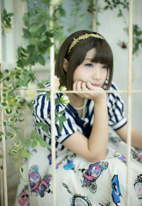 Ayame_apricot photo 340