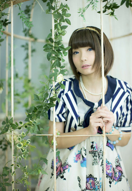 Ayame_apricot photo 342