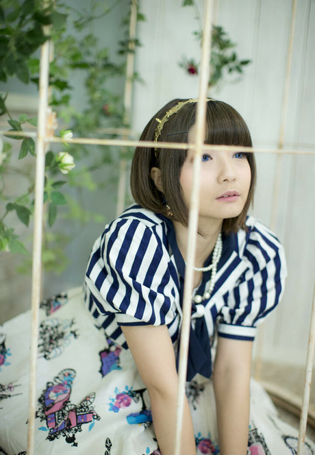Ayame_apricot photo 356