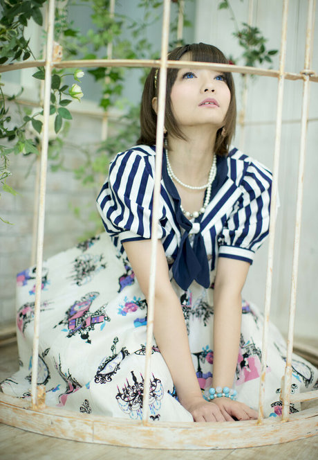 Ayame_apricot photo 357