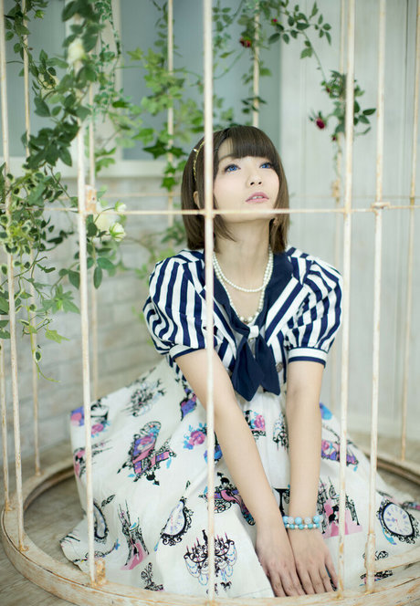 Ayame_apricot photo 358
