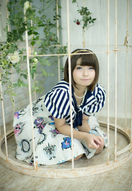Ayame_apricot photo 364