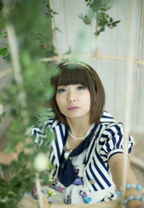 Ayame_apricot photo 374