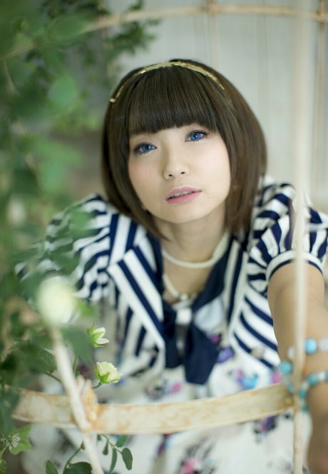 Ayame_apricot photo 377