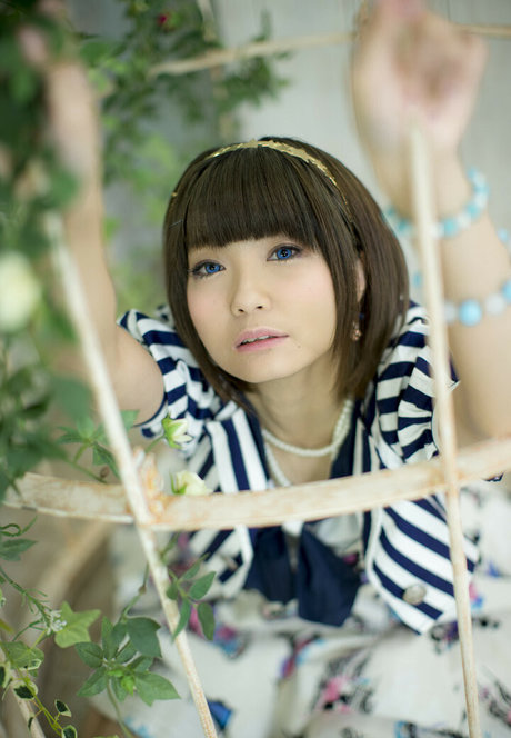Ayame_apricot photo 378