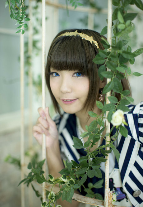 Ayame_apricot photo 380