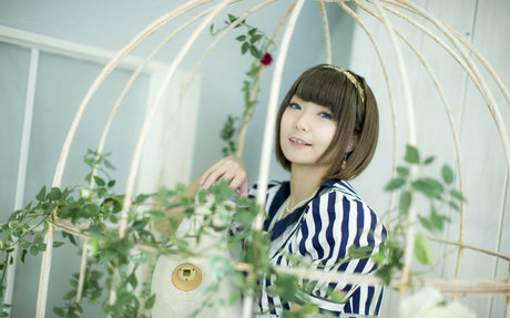 Ayame_apricot photo 395