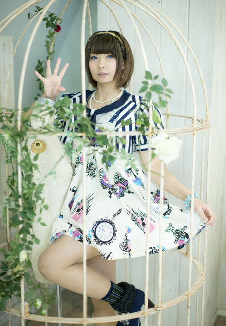 Ayame_apricot photo 396