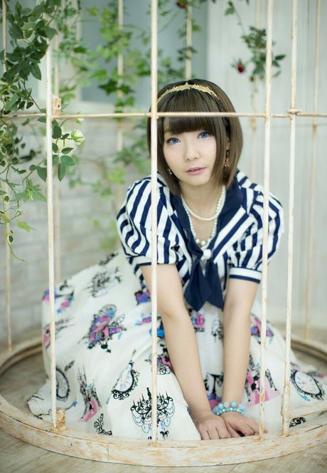 Ayame_apricot photo 406
