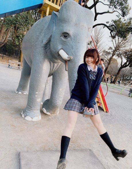 Ayame_apricot photo 832