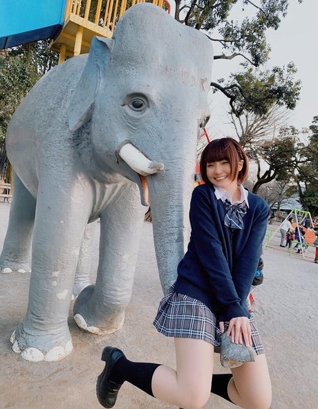 Ayame_apricot photo 833