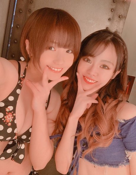 Ayame_apricot photo 864