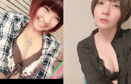 Ayame_apricot photo 890