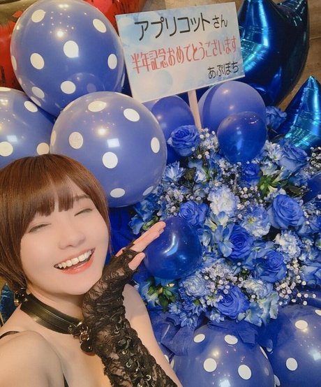 Ayame_apricot photo 892