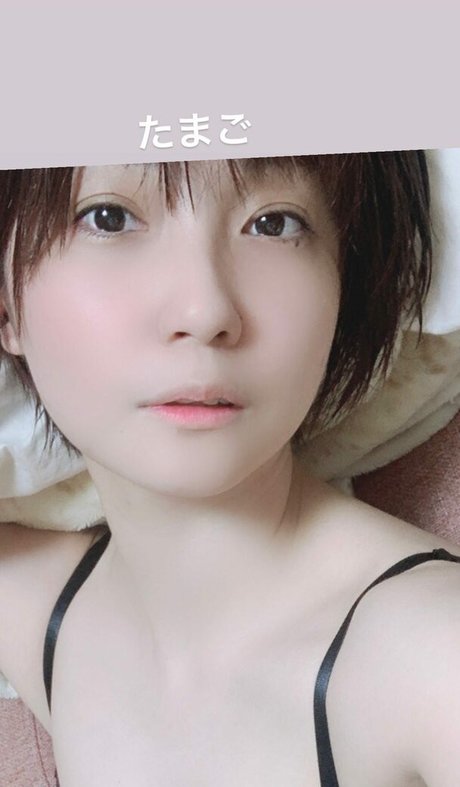 Ayame_apricot photo 939