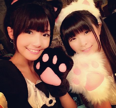 Ayame_apricot photo 971