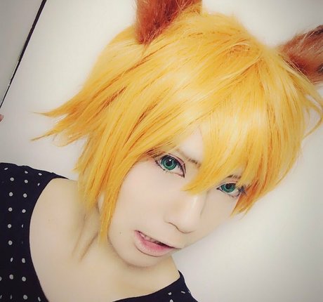 Ayame_apricot photo 1001