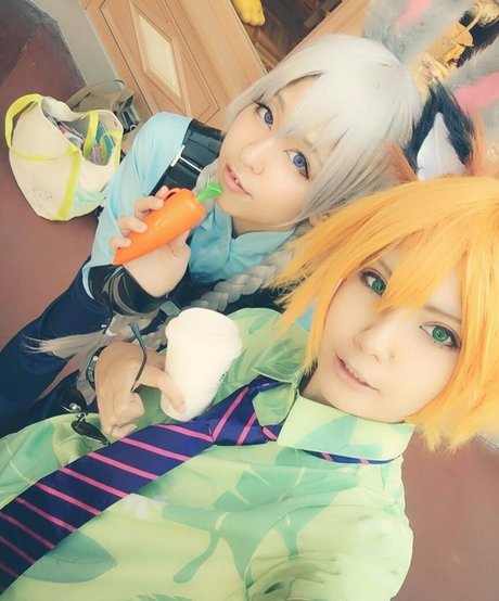 Ayame_apricot photo 1003