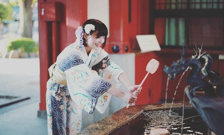 Ayame_apricot photo 1045