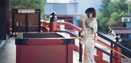 Ayame_apricot photo 1069