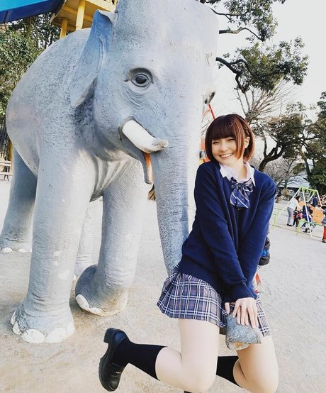 Ayame_apricot photo 1274
