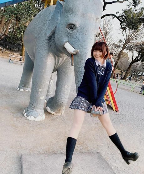 Ayame_apricot photo 1277