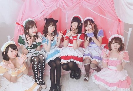 Ayame_apricot photo 1287