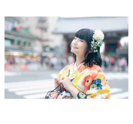 Ayame_apricot photo 1429