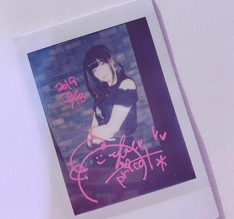 Ayame_apricot photo 1443
