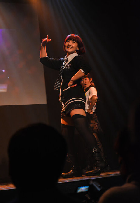 Ayame_apricot photo 1488