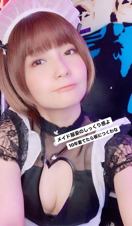 Ayame_apricot photo 1525