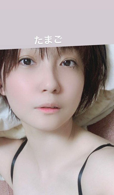 Ayame_apricot photo 1540